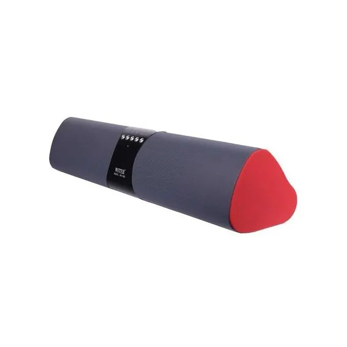 Wster Portable Bluetooth Speaker, MP3 Player & Radio