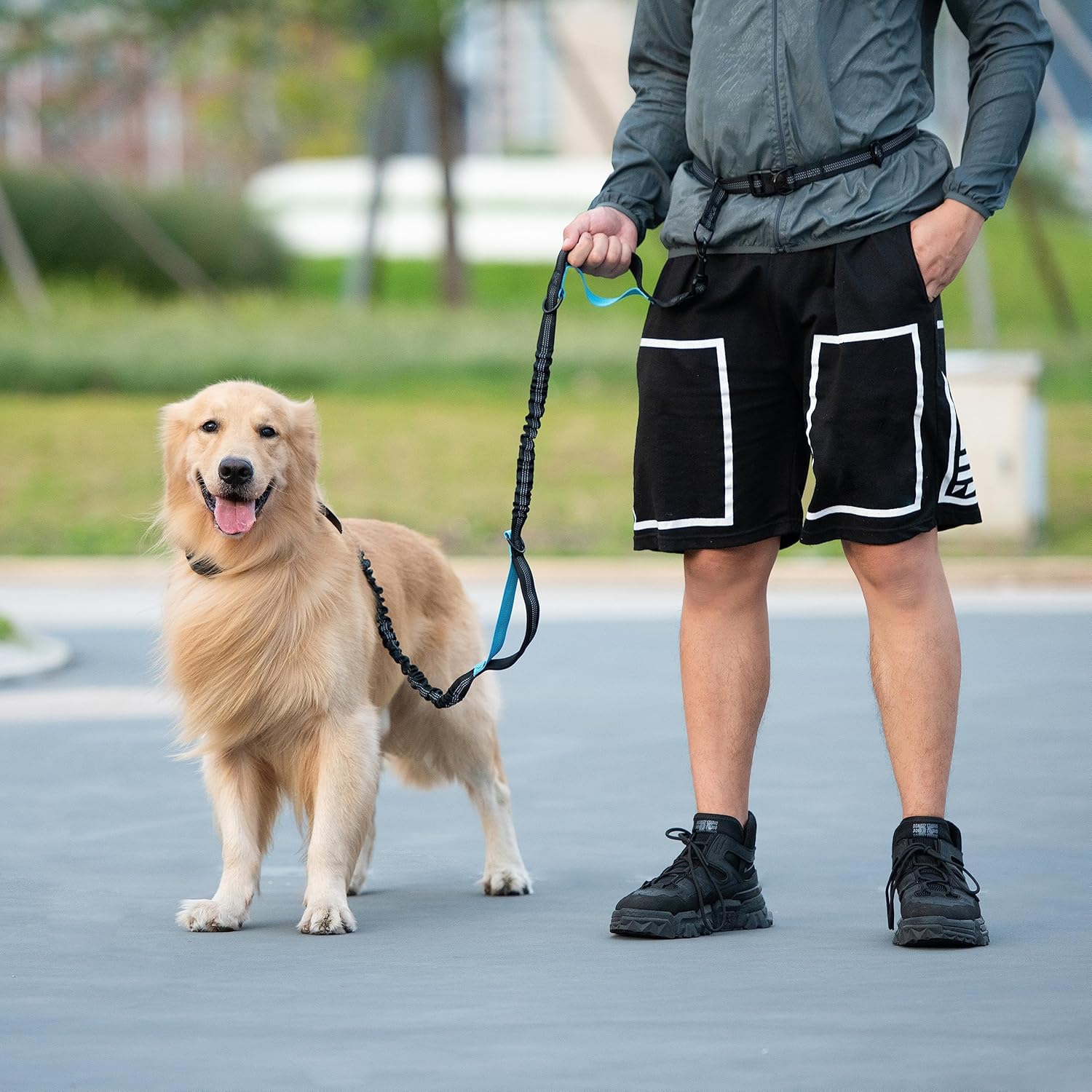 Hands Free Dog Leash with Zipper Pouch, Dual Padded Handles and Durable Bungee for Walking, Jogging and Running Your Dog,