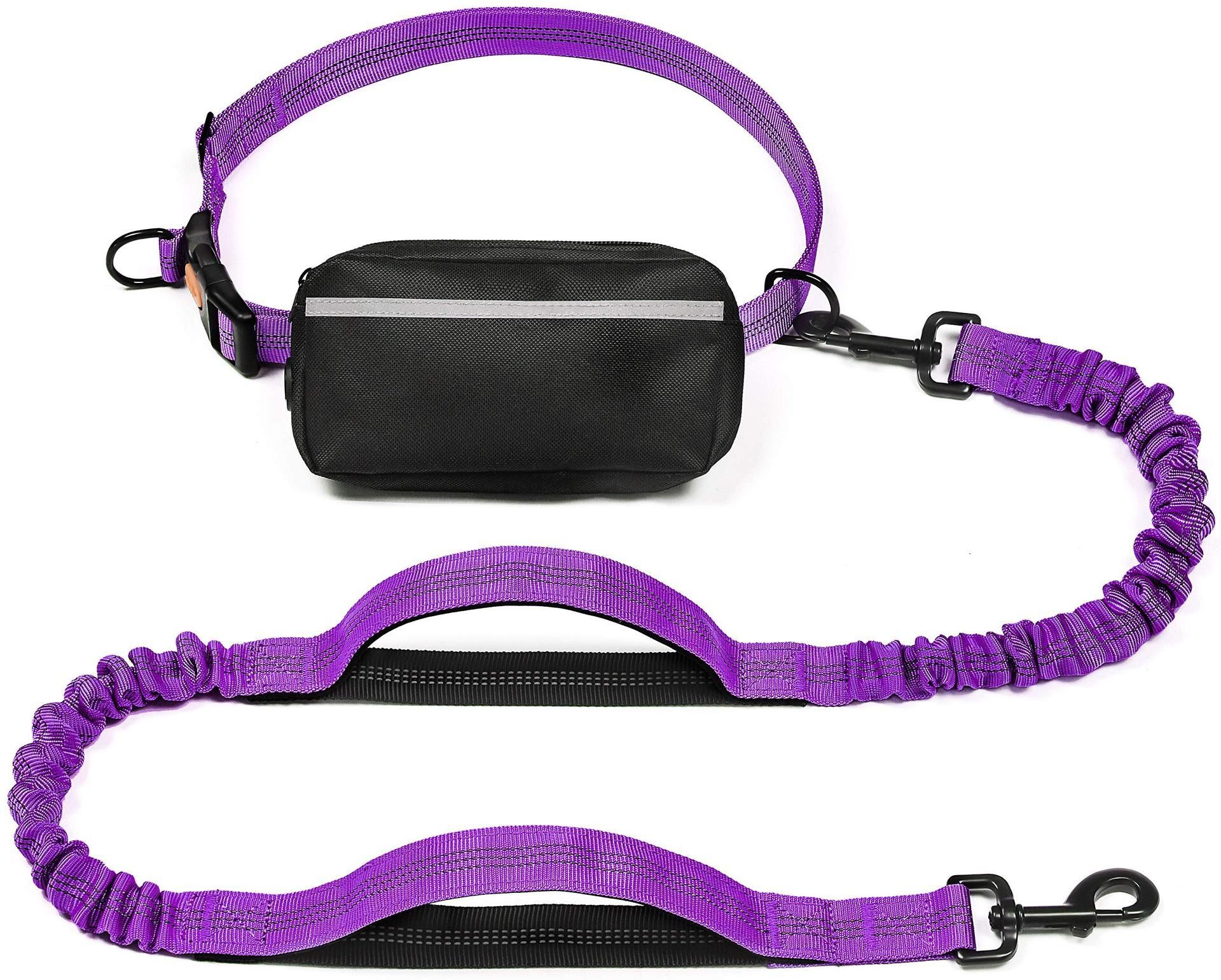 Hands Free Dog Leash with Zipper Pouch, Dual Padded Handles and Durable Bungee for Walking, Jogging and Running Your Dog,