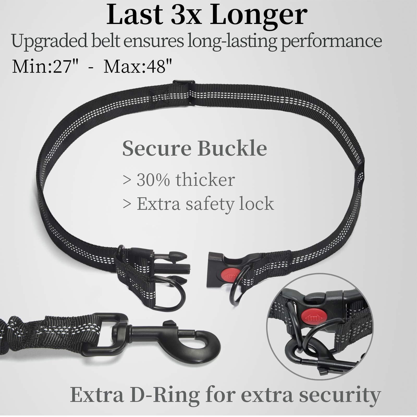 Hands Free Dog Leash with Zipper Pouch, Dual Padded Handles and Durable Bungee for Walking, Jogging and Running Your Dog,