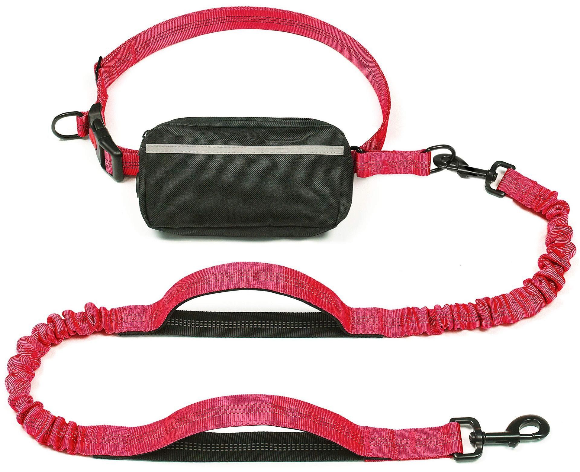 Hands Free Dog Leash with Zipper Pouch, Dual Padded Handles and Durable Bungee for Walking, Jogging and Running Your Dog,
