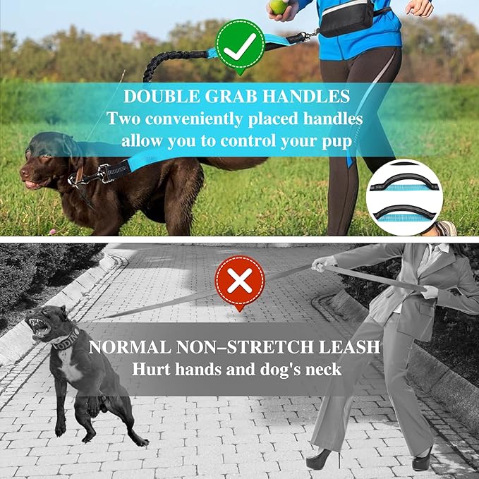Hands Free Dog Leash with Zipper Pouch, Dual Padded Handles and Durable Bungee for Walking, Jogging and Running Your Dog,
