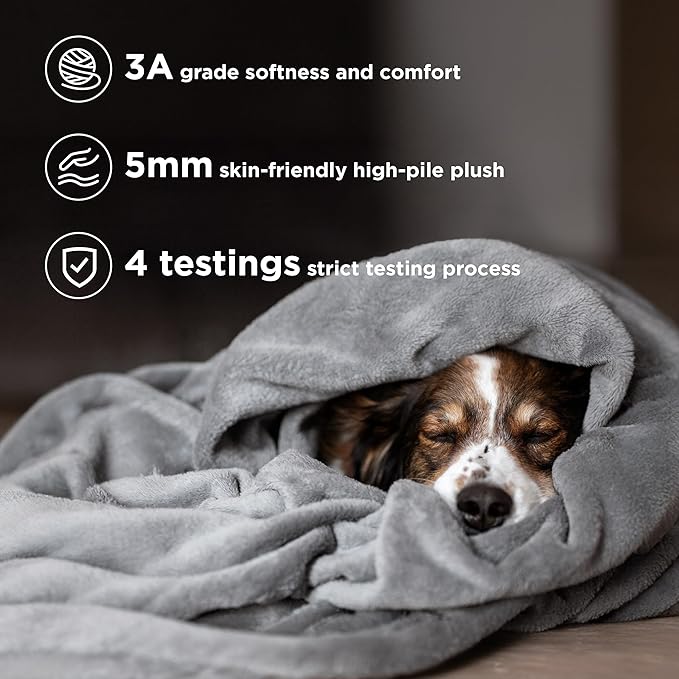 GentleSoft Fleece Bed Blankets Queen Size Grey - Soft Lightweight Plush Fuzzy Cozy Luxury Fall Blanket Microfiber, Room Home Decor Gifts for Women and Men,84x90 inches