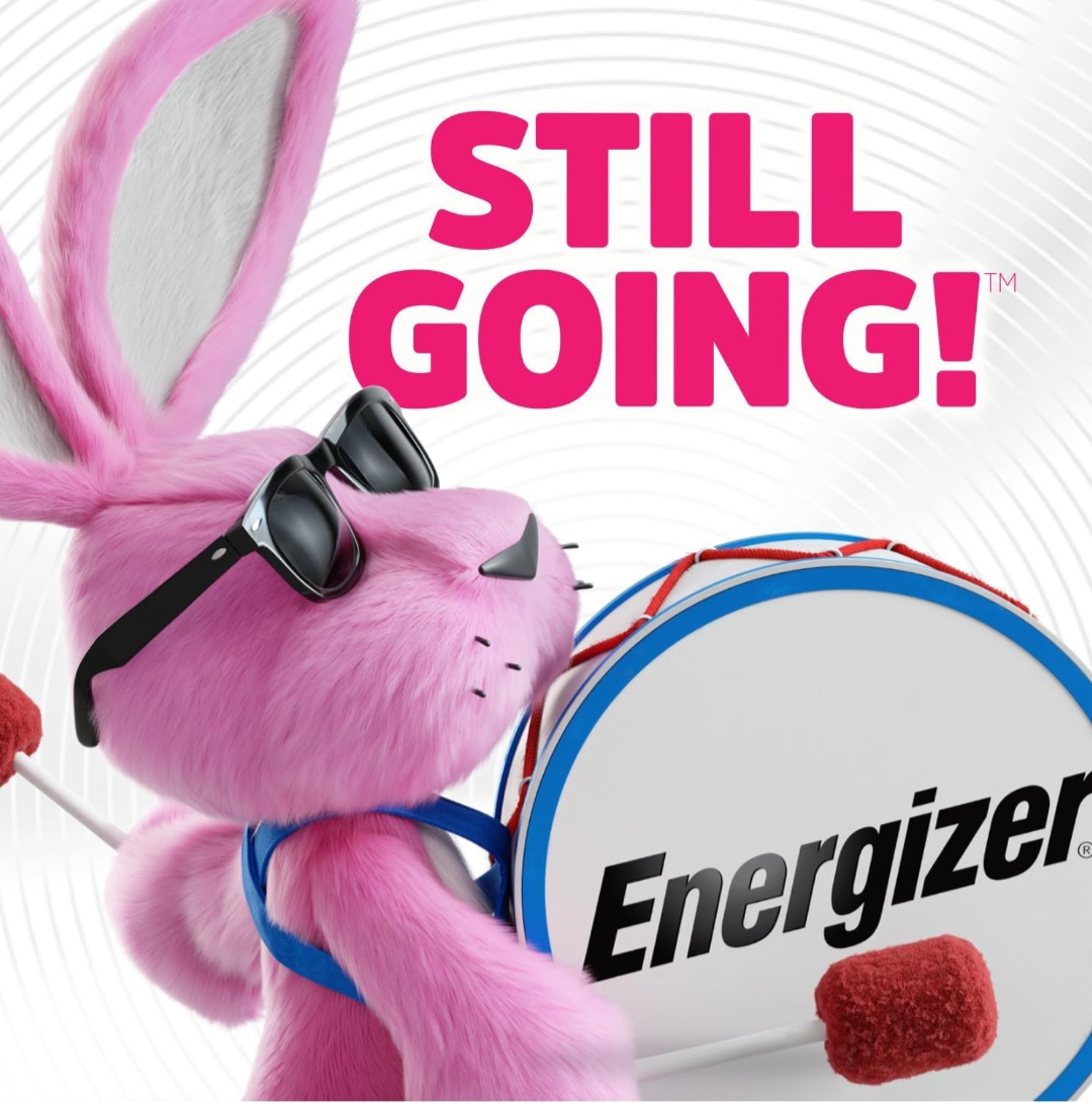 ENERGIZER MAX D BATTERIES (2 PACK). D CELL ALKALINE BATTERIES.