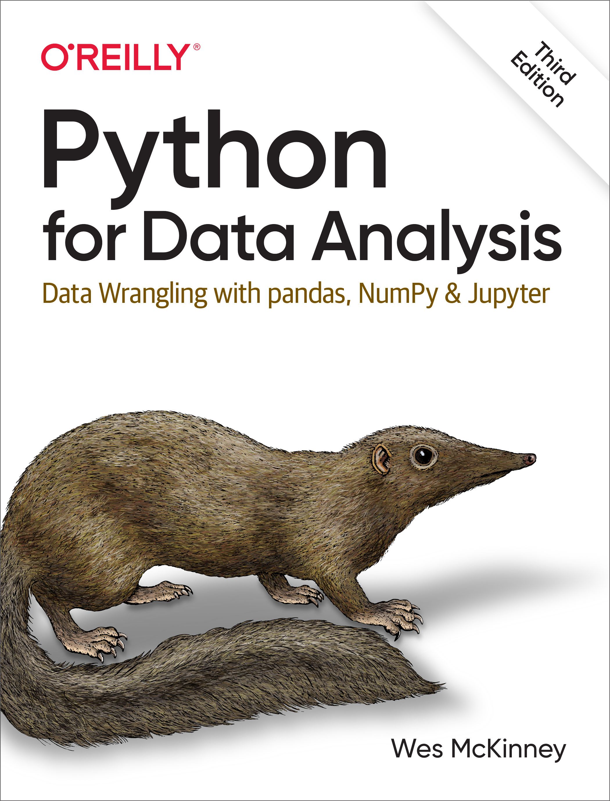 Python Data Science Handbook: Essential Tools for Working with Data
Book by Jake VanderPlas