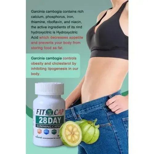 Wins Town Fit Cap 28 Days Slimming Capsule Natural Recommended for Women and Men for Fast Weight Loss,Detoxifying and Reducing Bloating-60 Capsules