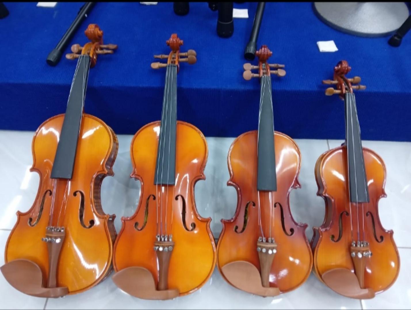 Marple Leaf 4/4 Violin plus extra violin strings