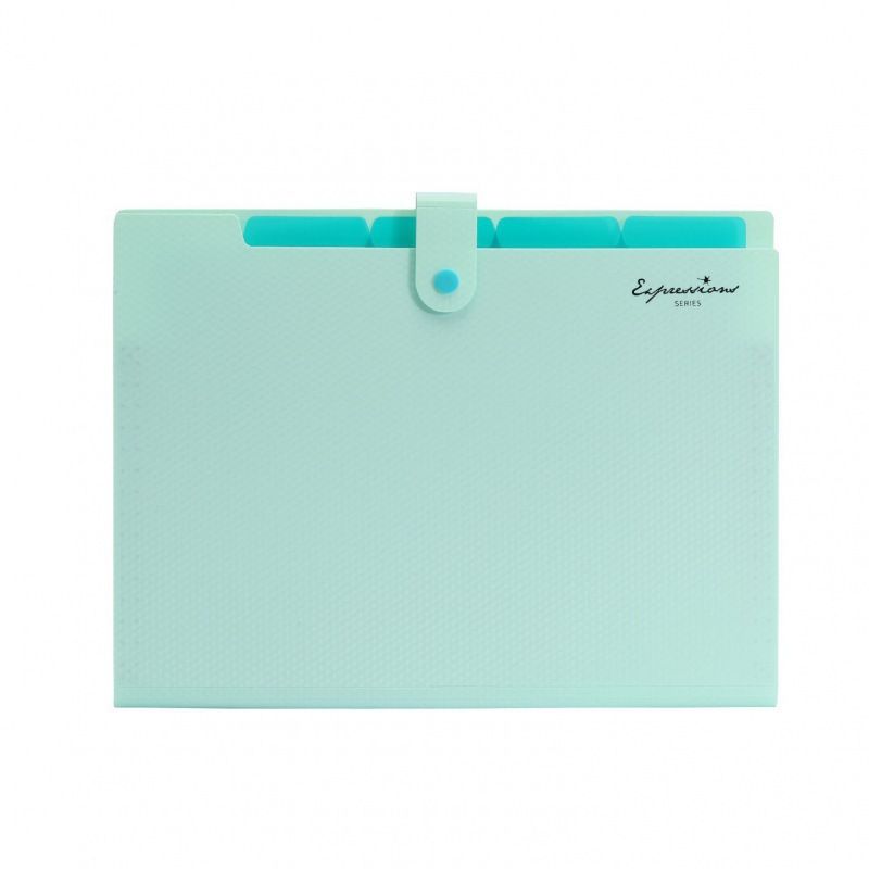 Expanding File Folder,5 Pocket Folders for Documents,Portable Paper Organizer for School Office Supplies,A4 Size