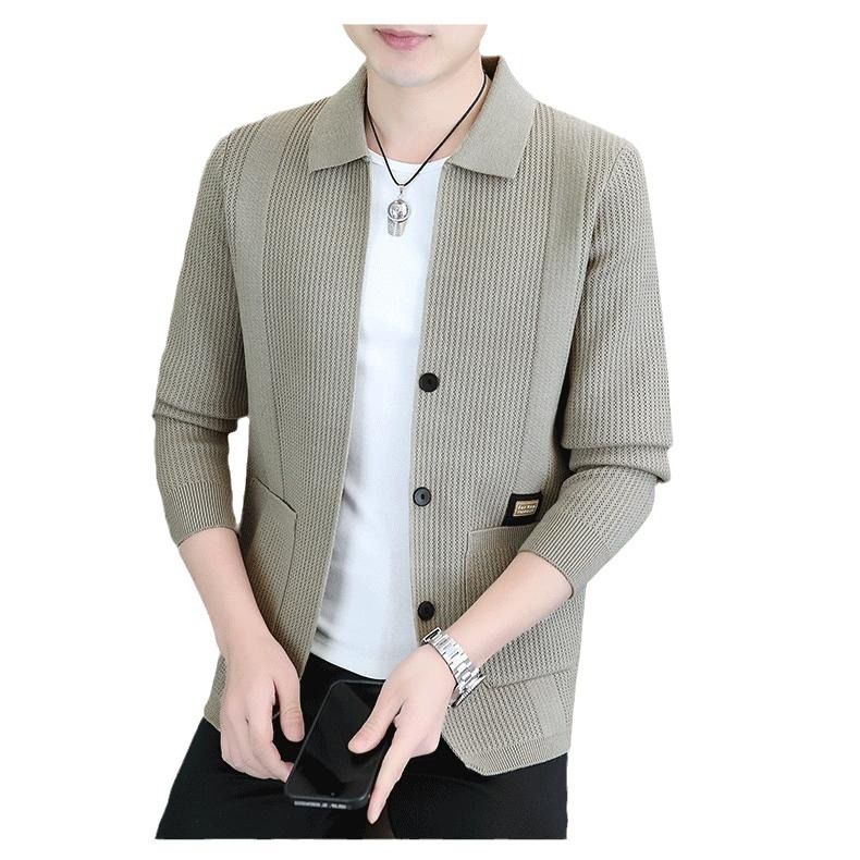 Cardigan sweater men's spring autumn business casual versatile knitted sweater trendy brand fashionable lapel jacket
