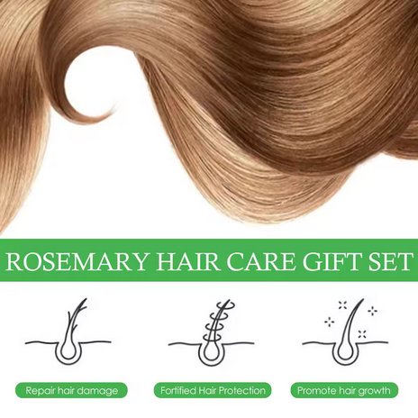 Rosemary Hair Care Set Contains Rosemary Hair Roller Hair Spray Essential Oil Nourish Hair Soft Fluffy Strong Moisturizing Root