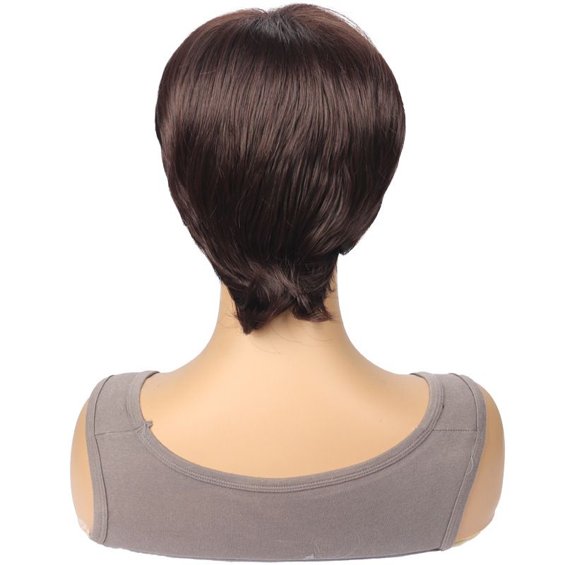 Women's Fashionable Synthetic Wig Brown With Short Straight Hair And High Temperature Silk Headband Wig