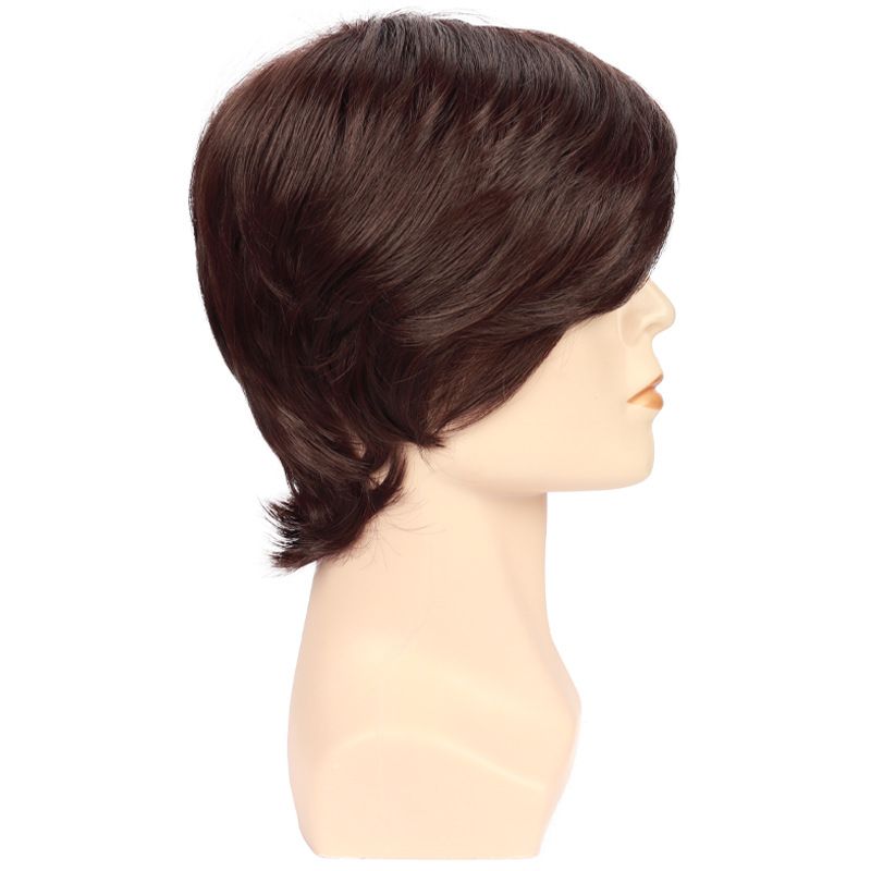 Wig Men Brown Short Straight Synthetic Headband Fluffy Long Bangs Wig