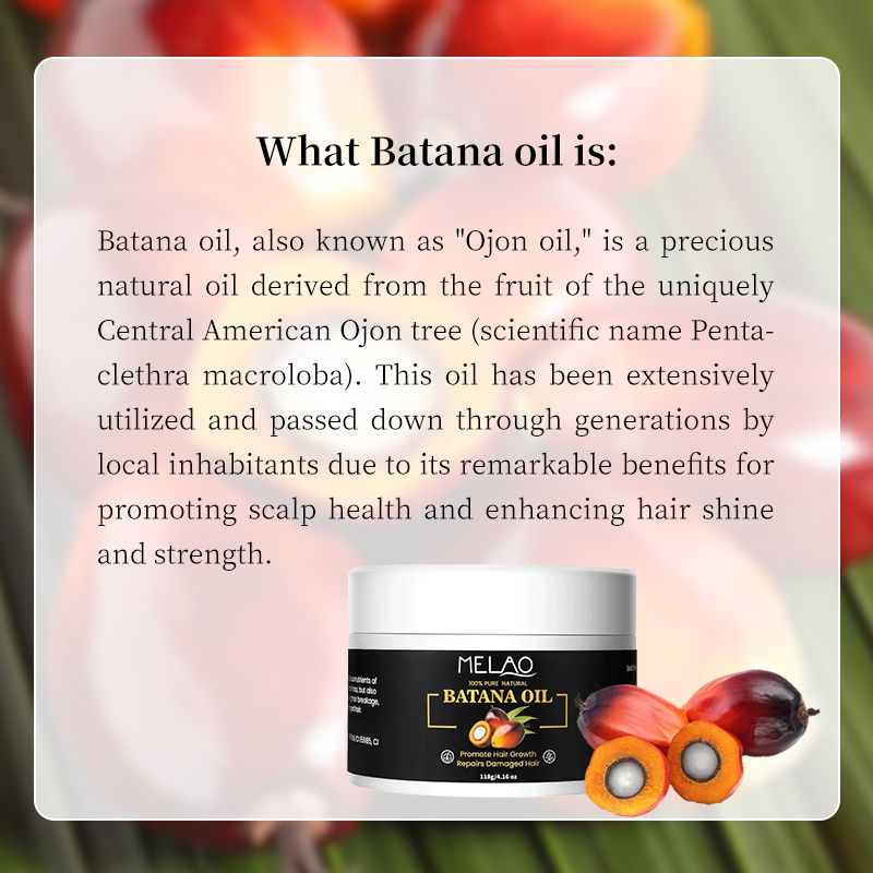 Private Label 100% Pure Butter From Honduras Unrefined Promotes Thickness for Men & Women Hair Treatment Batana Oil Honduras 1 bottle capacity 118g