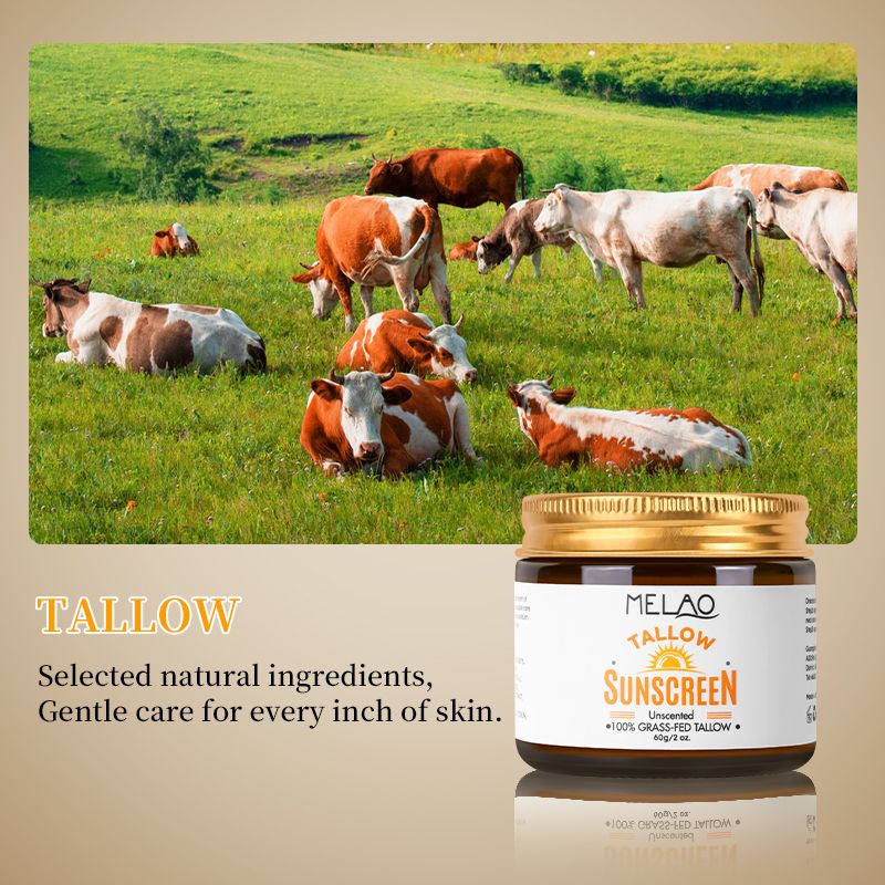 Private Label Natural Facial Sunblock 100% Grass Fed Sun Lotion Beef Tallow and Zinc Sun Balm Tallow Sunscreen  1 bottle 60g
