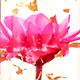 SZVILIMZ flower lipstick plant essence moisturizing long-lasting moisturizing flower fragrance temperature sensitive color removal lip dead skin anti-drying long-lasting