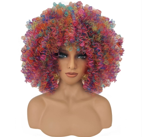Curly Wigs for Colorful afro hairstyle Women Short Curly Afro Wig with Bangs Kinky Curls Curly Hair Synthetic Wig for Daily Use Party Cosplay