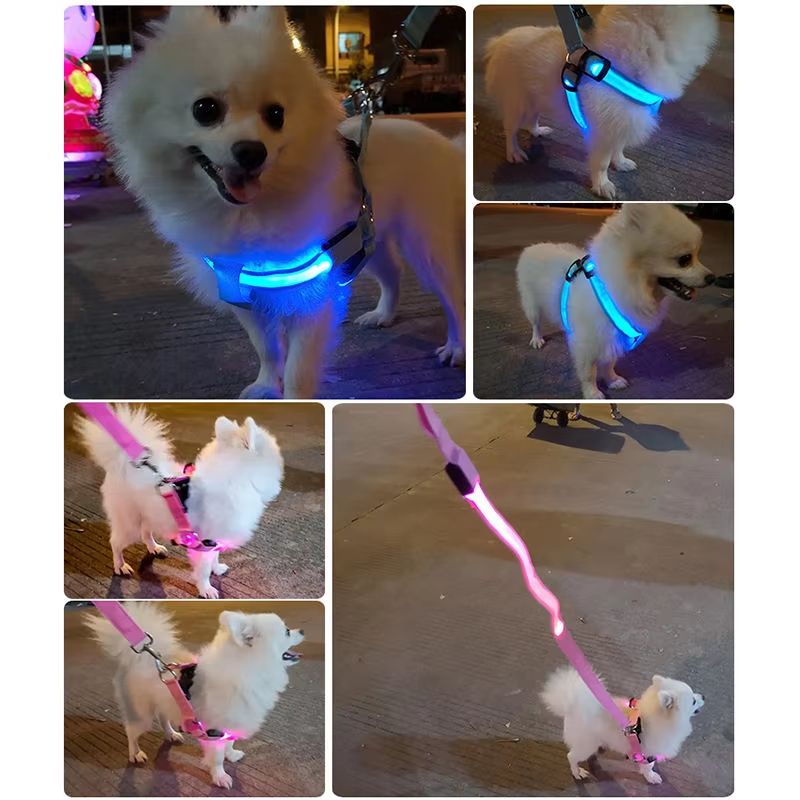 Hot Popular USB Recharge LED Dog Harness Pet Cat Dog Collar Harness Vest Safety Lighted Dog Harness Ultra Comfort Lifetime Durability Pet Harness for Small and Medium Dog Breeds