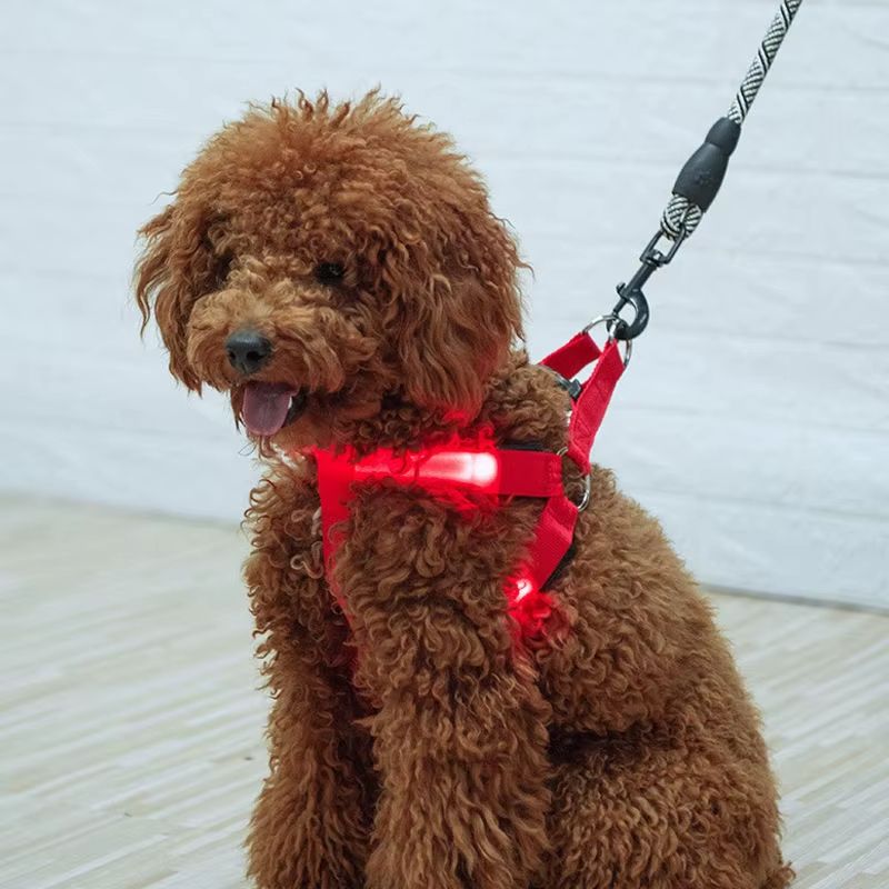 Hot Popular USB Recharge LED Dog Harness Pet Cat Dog Collar Harness Vest Safety Lighted Dog Harness Ultra Comfort Lifetime Durability Pet Harness for Small and Medium Dog Breeds