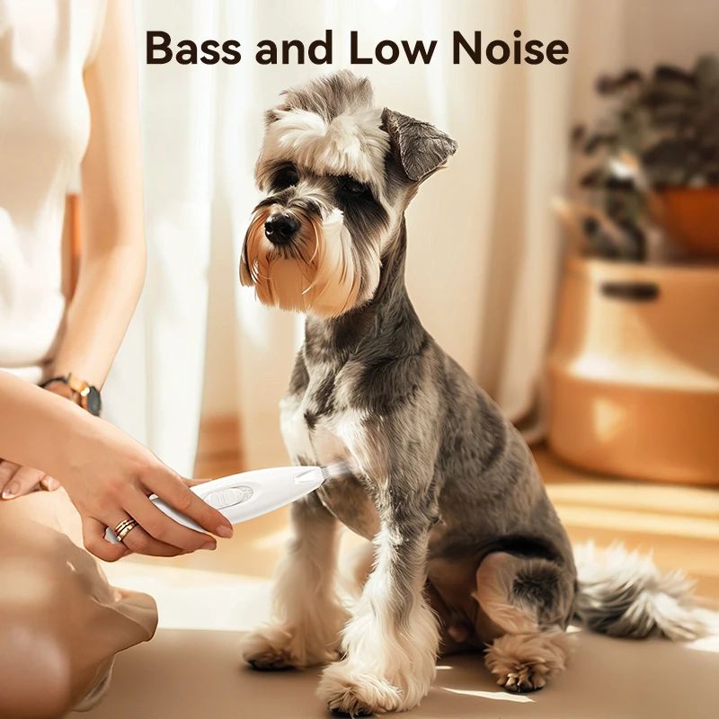 Professional Dog Car Grooming Clippers Cordless Low Noise LED Light Two Speed Adjustment Small Pet Hair Trimmer for Home Grooming Optional ABS Ceramic Stainless Steel Pet Electric Clipper For foots