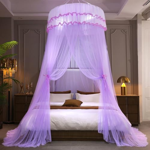 Mosquito Net Bed Canopy, Princess Canopy Bed Curtain Fine Sheer Mesh Dome Bed Canopies, Kids & Adults Lace Tent for Twin Full Queen King Bed Household Bedroom Dome Floor-to-ceiling Mosquito Net
