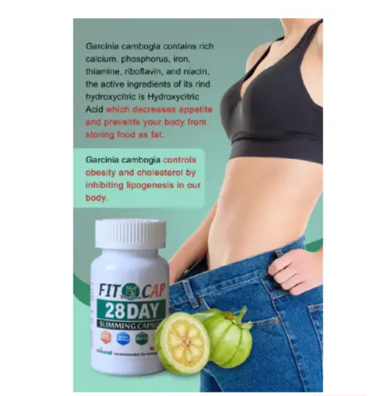 Wins Town Fit Cap 28 Days Slimming Capsule Natural Recommended for Women and Men for Fast Weight Loss,Detoxifying and Reducing Bloating-60 Caps