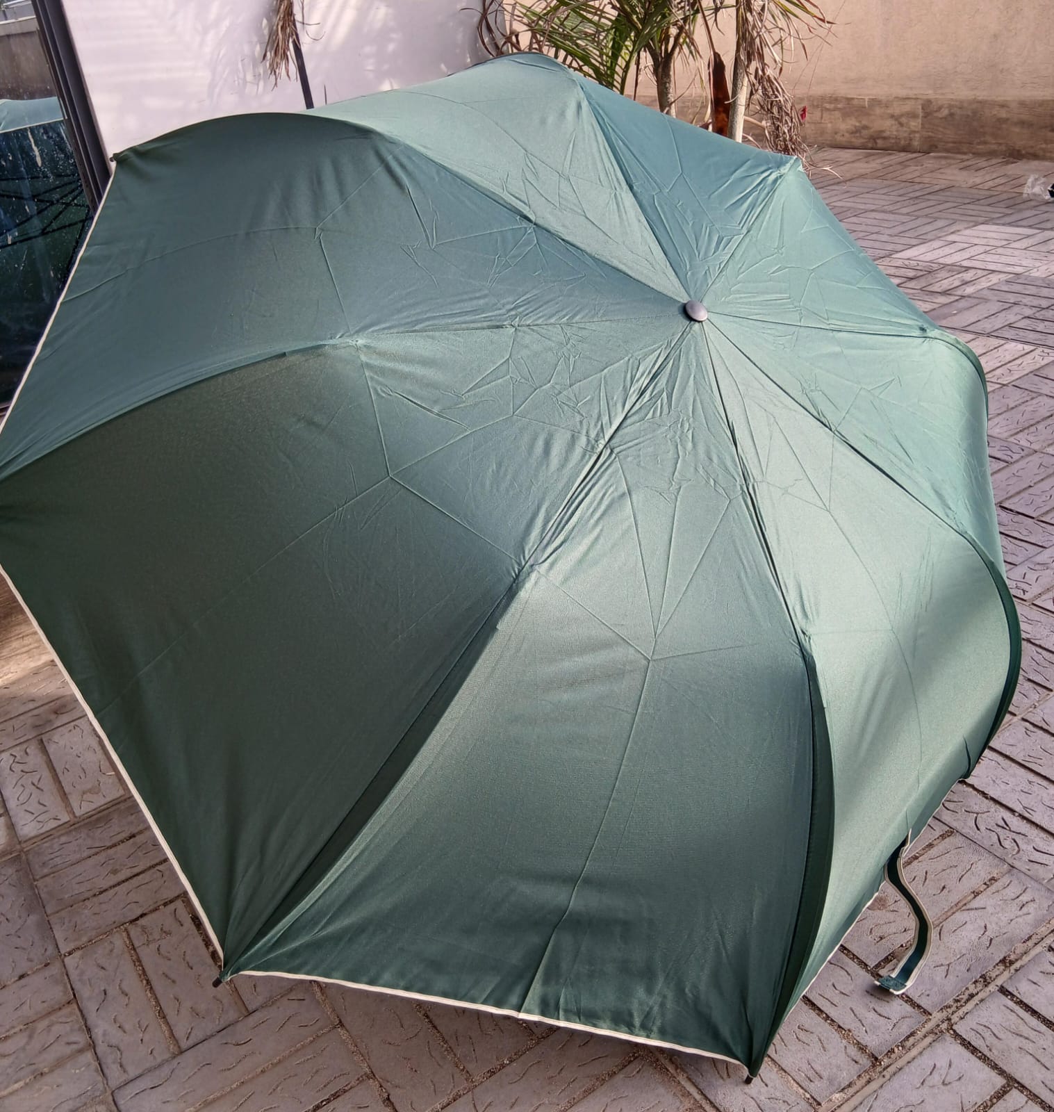 *Foldable Umbrella*

💳 *Price: offer ‼️
▪️Whether it is the heavy rain or the hot sun, this umbrella is your most reliable protective shelter.
▪️ New automatically folding business large umbrella
▪️S