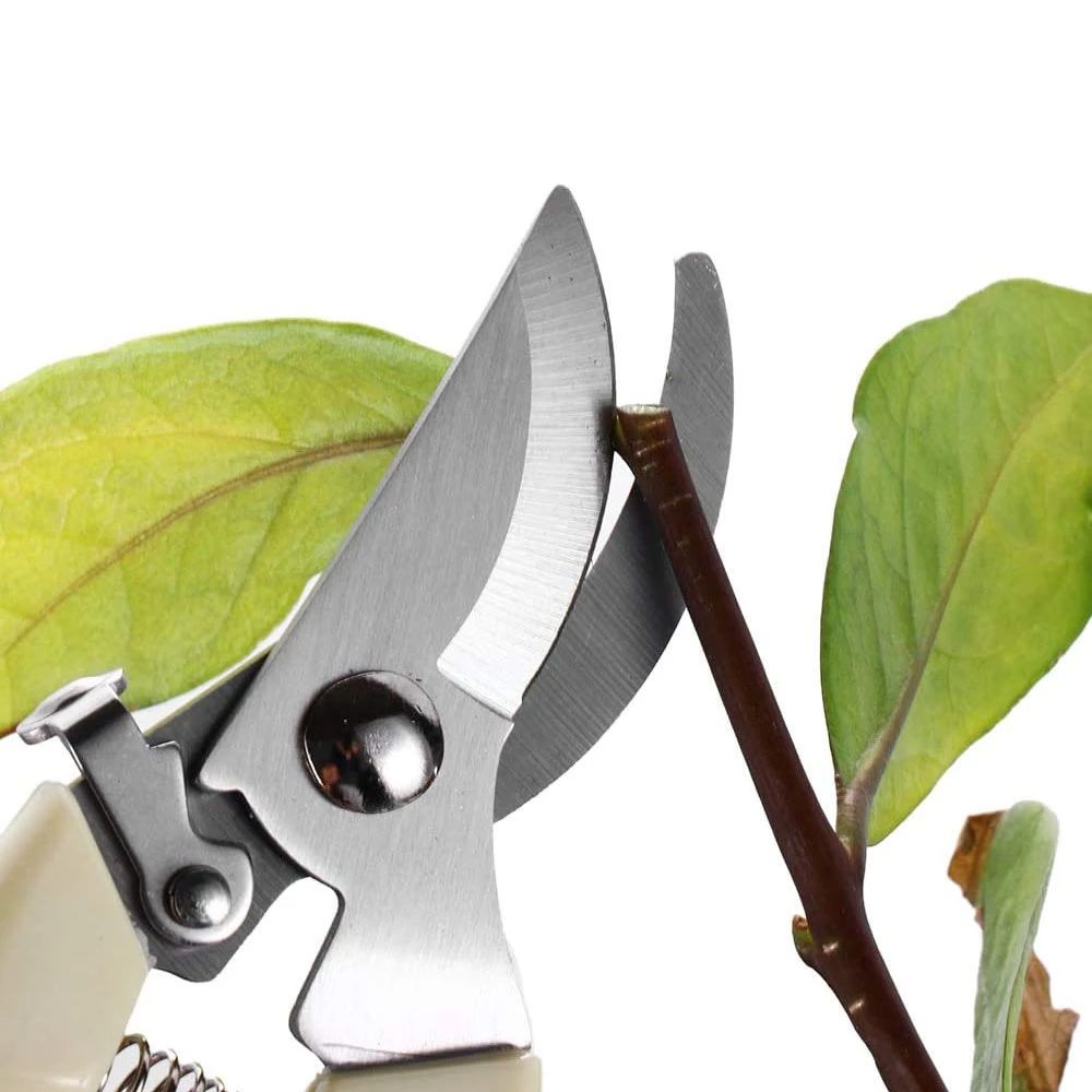 Pruner Tree Cutter Gardening Pruning Shear Scissor Stainless Steel Cutting Tools Set Home Tools Anti-slip