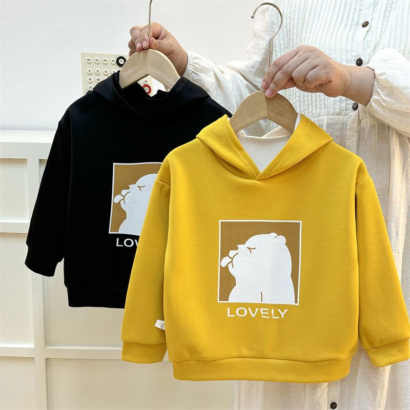 Spring and Autumn Winter Large Thin Hoodie Women's New Loose Hoodie