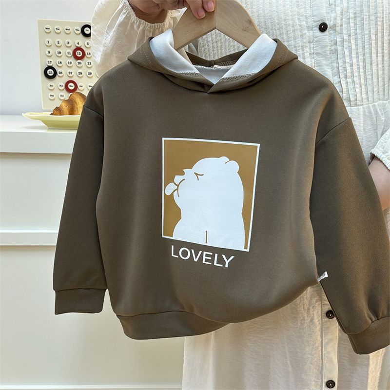 Spring and Autumn Winter Large Thin Hoodie Women's New Loose Hoodie