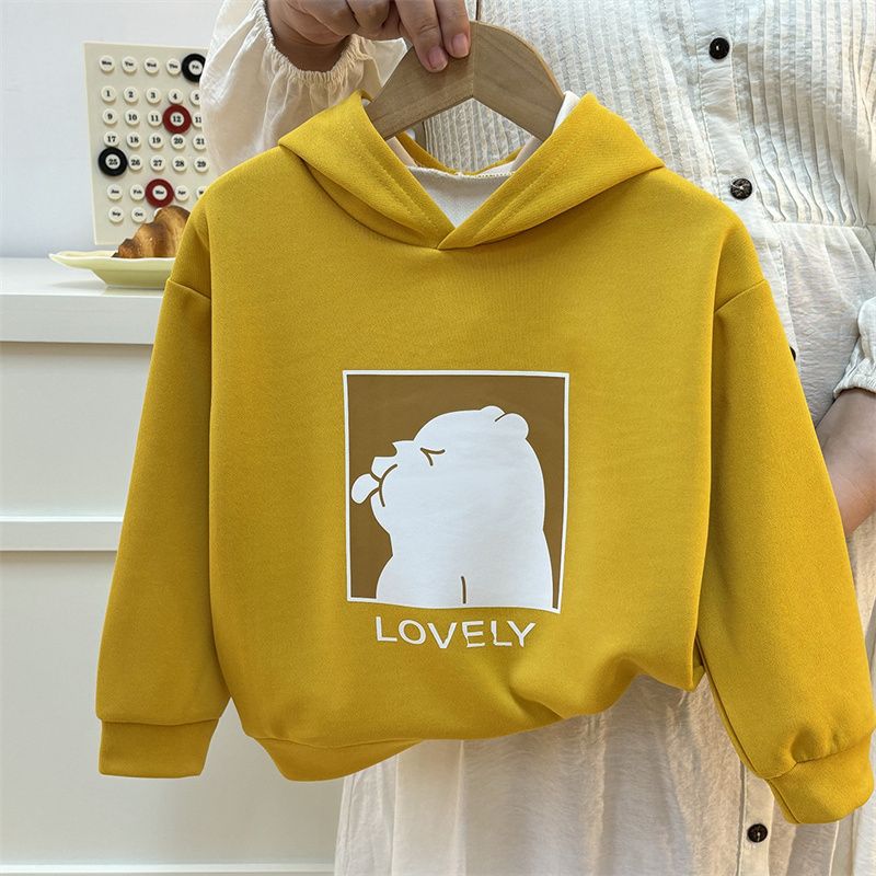 Spring and Autumn Winter Large Thin Hoodie Women's New Loose Hoodie