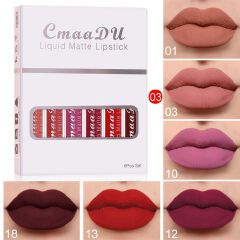 Clearance Sale 6PCS/set lipstick lip gloss set makeup long-lasting liquid lipstick set makeup matte non stick cup lip gloss