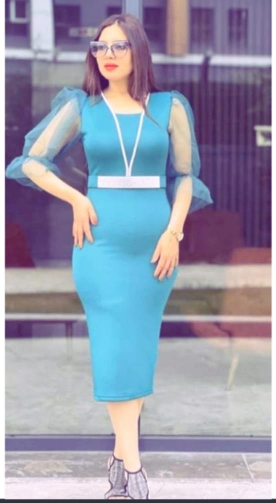 Elegant Official/Casual Ladies Cotton Bodycon Dress