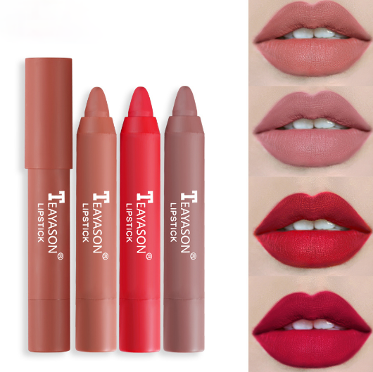 Matte lipstick 12 colors waterproof long lasting sexy red lipstick makeup B2-582