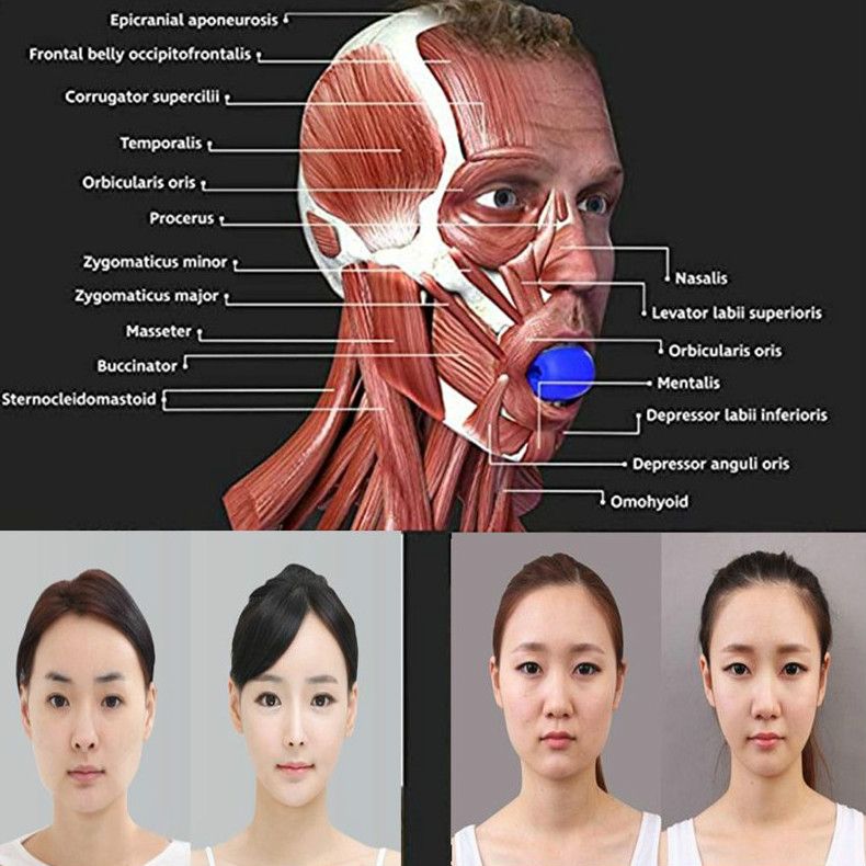 Mandible muscles mandibular contour fitness ball bite muscle trainer jaw face trainer masticatorB2-828