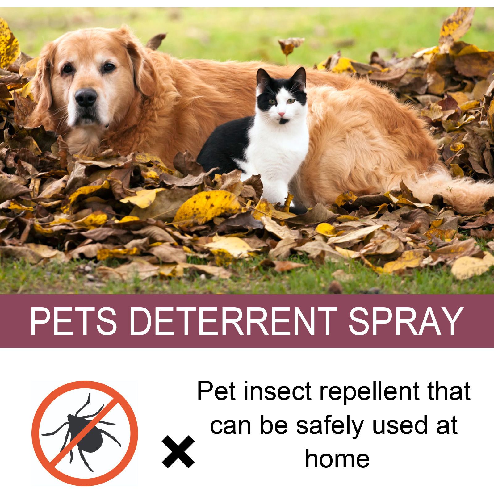Pet insect repellent spray Drive away fleas lice ticks Sterilization Relieve skin itching Suitable for deworming cats and dogs C-434