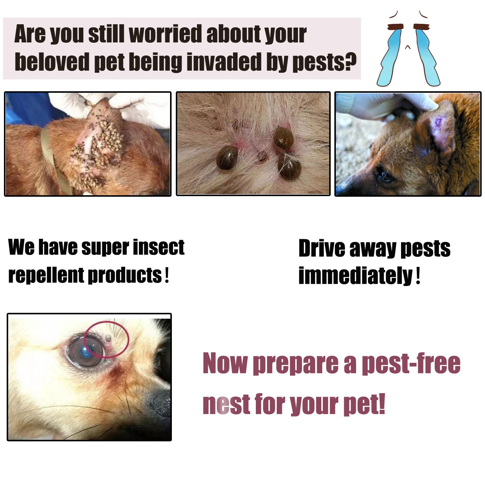 Pet insect repellent spray Drive away fleas lice ticks Sterilization Relieve skin itching Suitable for deworming cats and dogs C-434