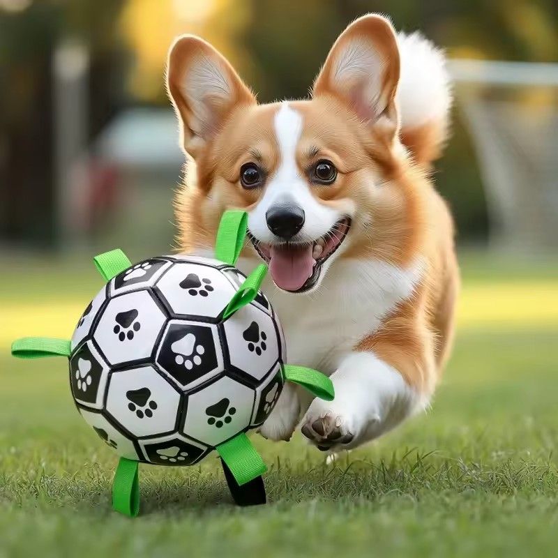 Interactive Dog Football Toy Soccer Ball Inflated Training Toy for Dogs Outdoor Border Collie Balls For Large Dogs Pet Supplies