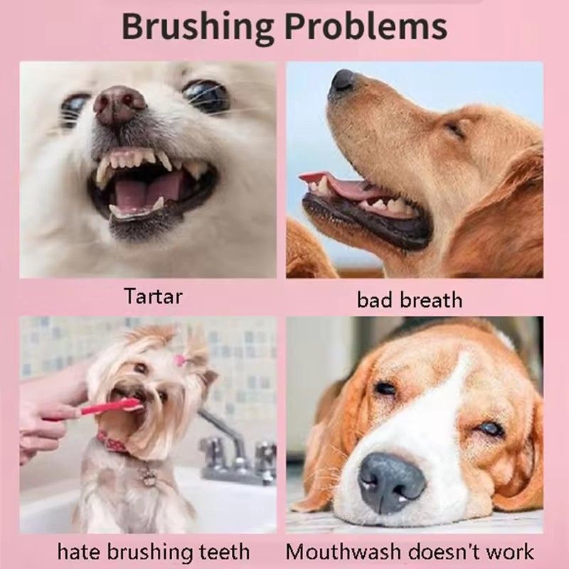 1PC Super Soft Pet Toothbrush With Box Portable Pet Teeth Cleaning Bad Breath Care Tooth Brush Tool Dog Cat Cleaning Supplies