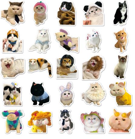 100pcs Funny cat Stickers Cartoon Cute Decals Toy Stationery Guitar Phone Bicycle Laptop Luggage Car Graffiti Kids Sticker-H-11