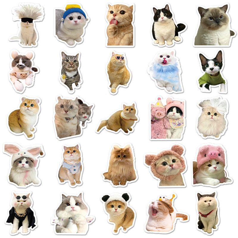 100pcs Funny cat Stickers Cartoon Cute Decals Toy Stationery Guitar Phone Bicycle Laptop Luggage Car Graffiti Kids Sticker-H-11