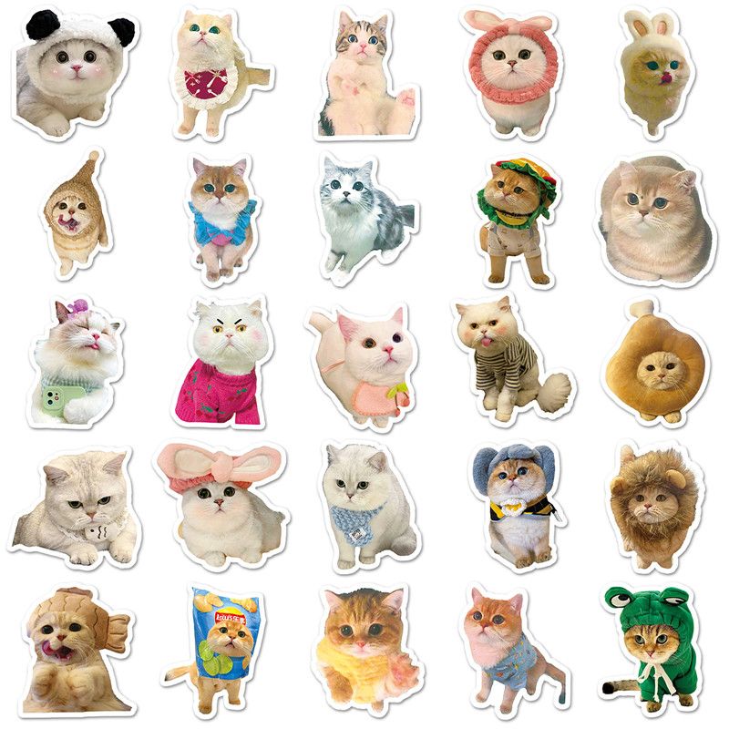 100pcs Funny cat Stickers Cartoon Cute Decals Toy Stationery Guitar Phone Bicycle Laptop Luggage Car Graffiti Kids Sticker-H-11