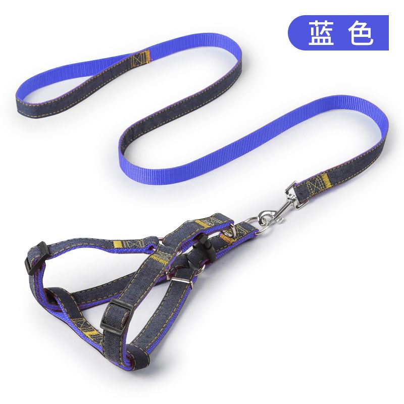 Pet harness leash, blue color. Suitable for small and medium - sized dogs like Teddy. Used for walking dogs outdoors.