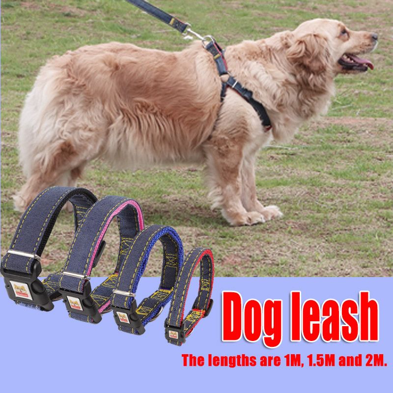 Pet harness leash, blue color. Suitable for small and medium - sized dogs like Teddy. Used for walking dogs outdoors.