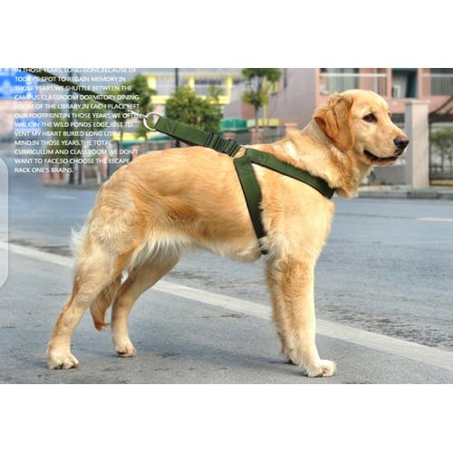 High Quality Nylon Dog Harness And Leash Double Layer-GREEN,