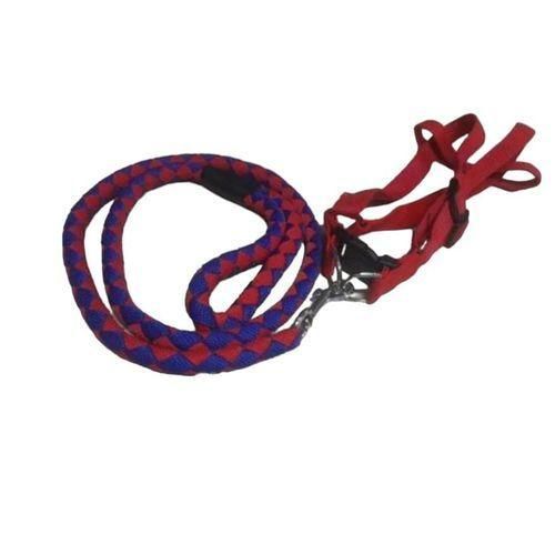 Dog Leash And Harness With Collar - Complete Set, Beautiful And Classy, Medium Size, 3 Colors Available