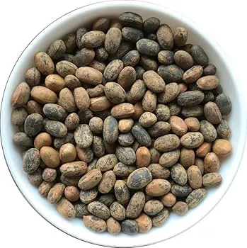 Haven Organics Miracle Seeds/ Ghana Seeds/ Croton Seeds.helps in reducing weight and tummy by burning the accumulated fats in your body, has been praised as the most powerful laxative in the world.
