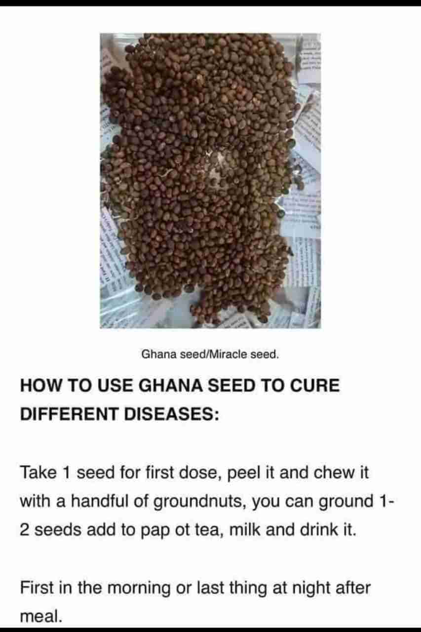 Haven Organics Miracle Seeds/ Ghana Seeds/ Croton Seeds.helps in reducing weight and tummy by burning the accumulated fats in your body, has been praised as the most powerful laxative in the world.