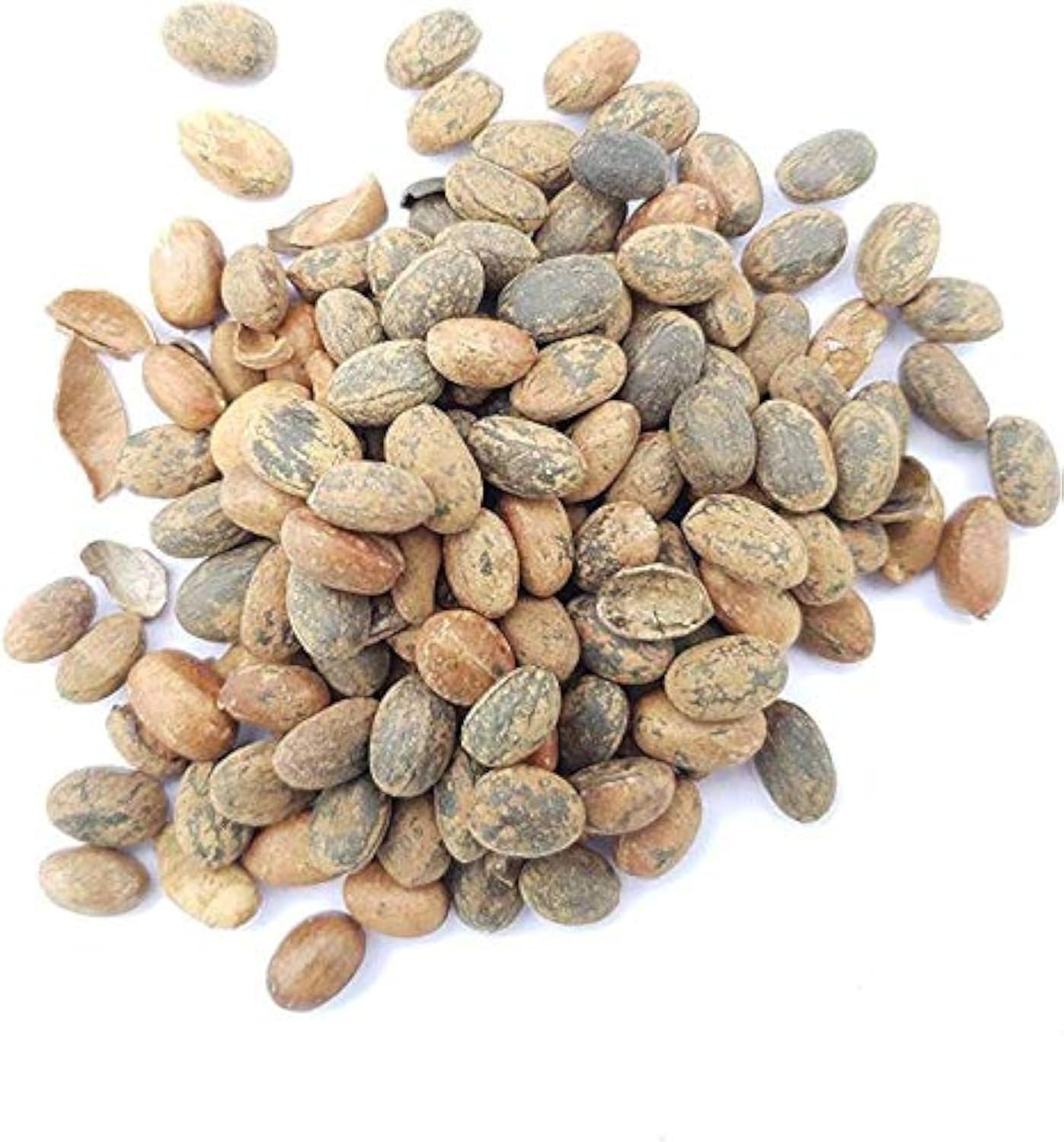 Haven Organics Miracle Seeds/ Ghana Seeds/ Croton Seeds.helps in reducing weight and tummy by burning the accumulated fats in your body, has been praised as the most powerful laxative in the world.