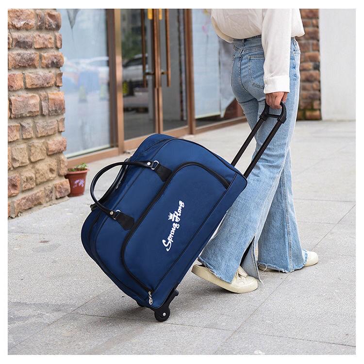 Trolley bag ( Both duffel bag and trolley bag )