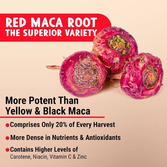 Red Maca 50 Grams Root Powder